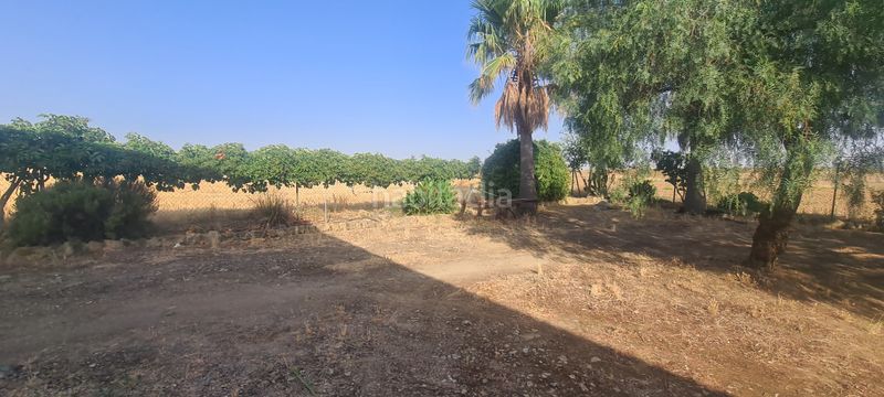 Foto cd5b70b6-15c6-45d6-8847-dd1090358142. Finca rústica a Azuaga