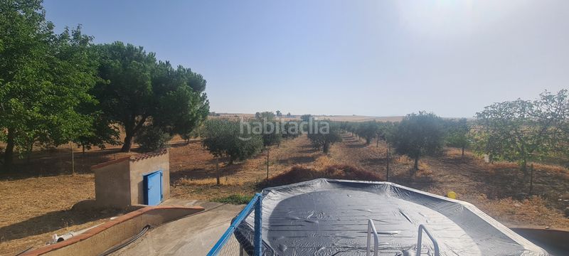 Foto daff2b10-cc06-47a9-987b-690372f1df90. Finca rústica a Azuaga