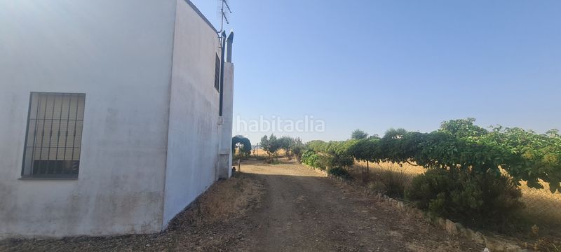 Foto ea323e56-4570-452d-86b3-4648c0ccca6a. Finca rústica a Azuaga