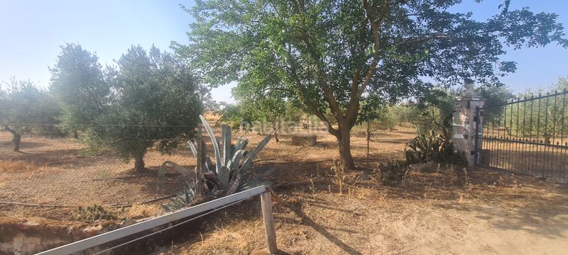 Foto f4f2857d-0a33-43df-be7f-ffbba73ba2d4. Finca rústica a Azuaga