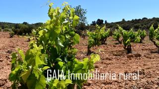Finca rústica a Maella