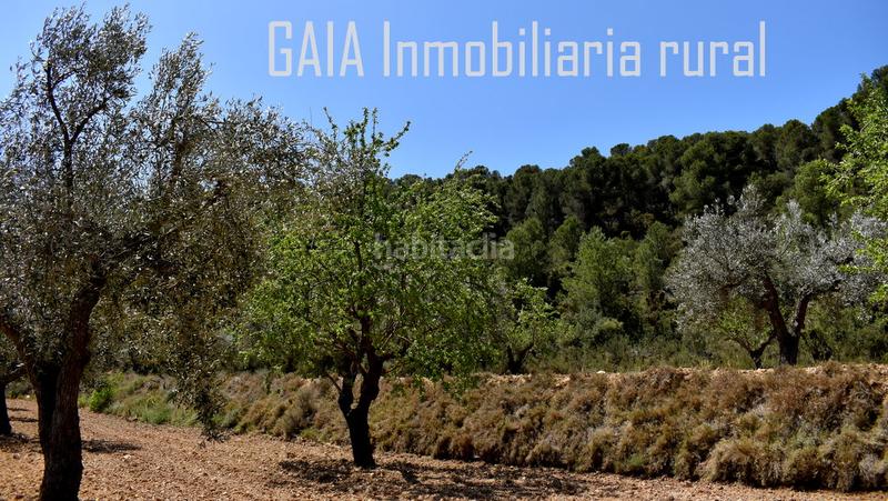 Foto 0cf8a238-0803-4eb9-8efa-feb44d1dba49. Masía en Mazaleón