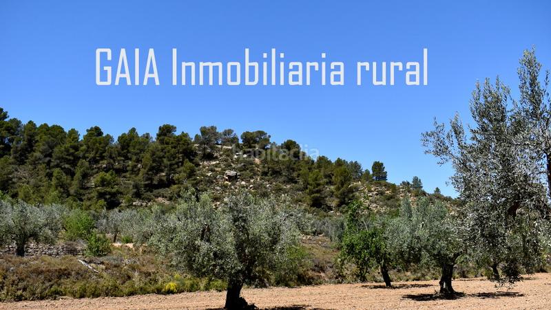 Foto 680a98d7-7f86-481a-affc-6f3d0a5a0269. Masía en Mazaleón