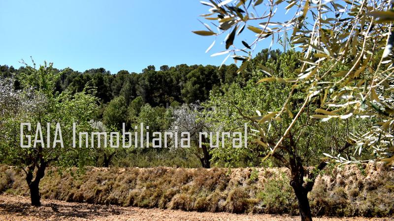 Foto 770708db-6a40-4c6c-8b9e-90b6cb53516f. Masía en Mazaleón