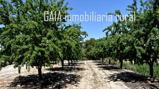 Masia a Maella