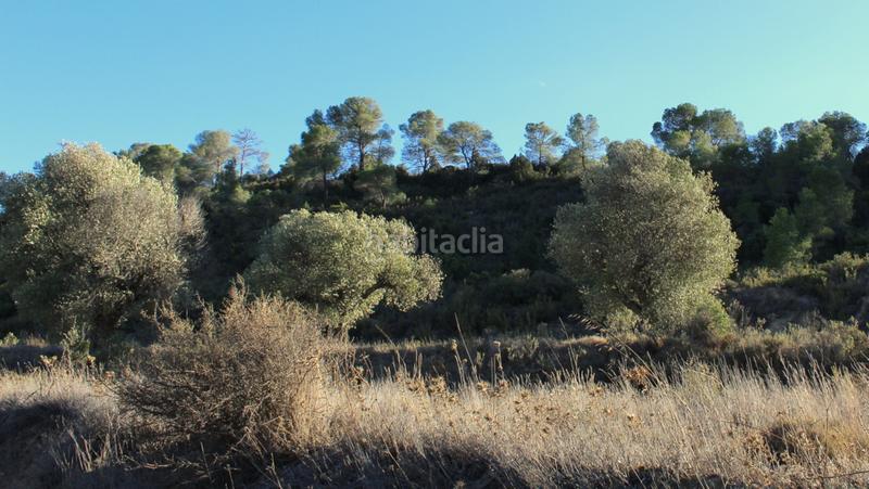 Foto cabfd7f0-a896-48cf-8c0b-91ef7a21c029. Masia a Maella