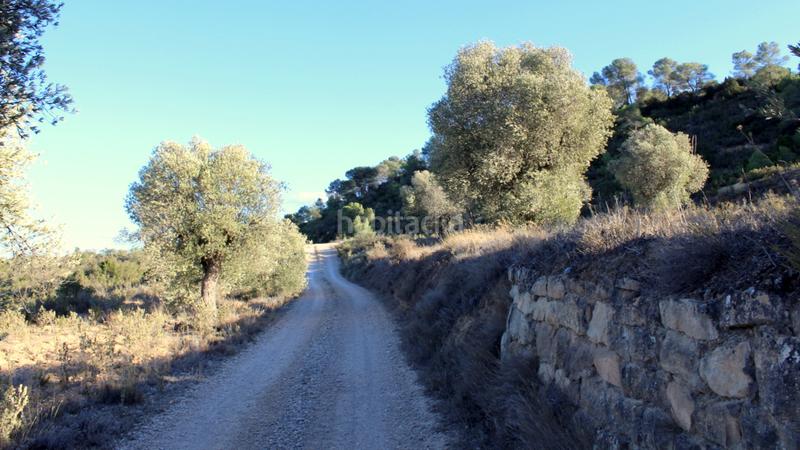 Foto d79c88b1-17ea-4c03-907f-992ca4074035. Masia a Maella