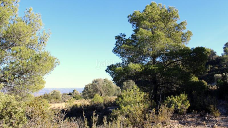 Foto f62f367f-c525-4588-9bfa-cda76056b496. Masia a Maella