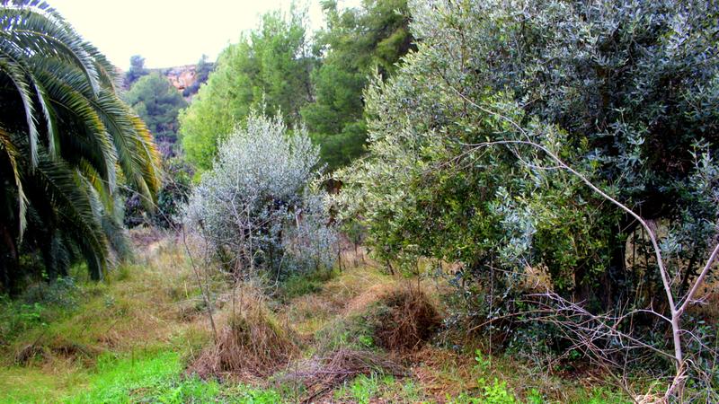 Foto 869e9566-4989-4695-a18c-7bc7d490a64c. Masía en Caspe