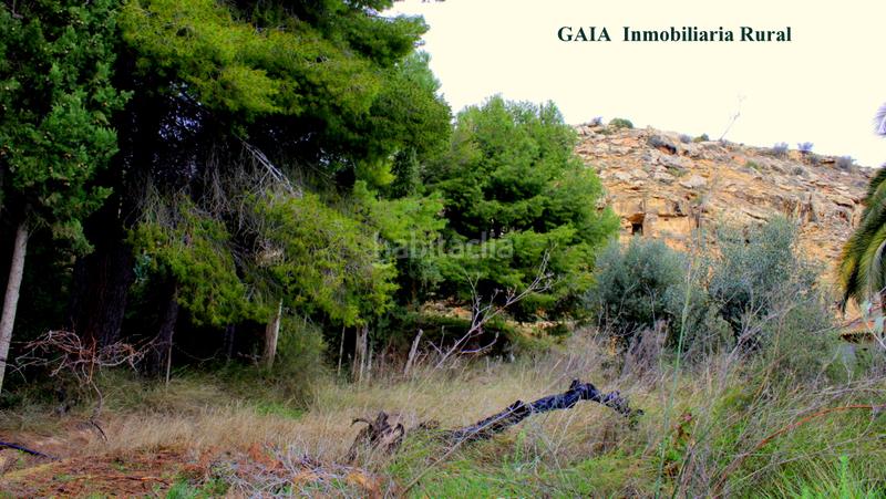 Foto 919f9adf-6353-4c01-b832-13c15dd64398. Masía en Caspe