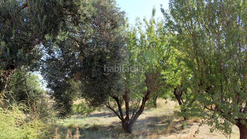 Foto bdf0fbae-3ed5-4f7a-9e6f-1197fcc3fbb1. Masía en Caspe