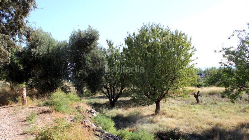 Foto bf584278-c690-4465-b009-d75bb338acdd. Masía en Caspe