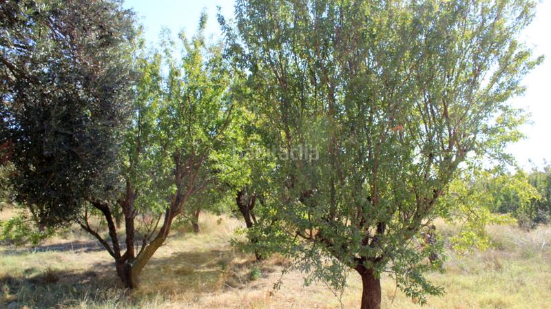 Foto dcdf4e85-21de-4df9-8a9b-3d8da1005b15. Masía en Caspe