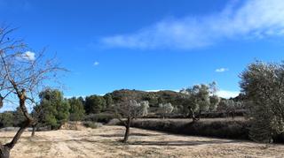Finca rústica a Maella