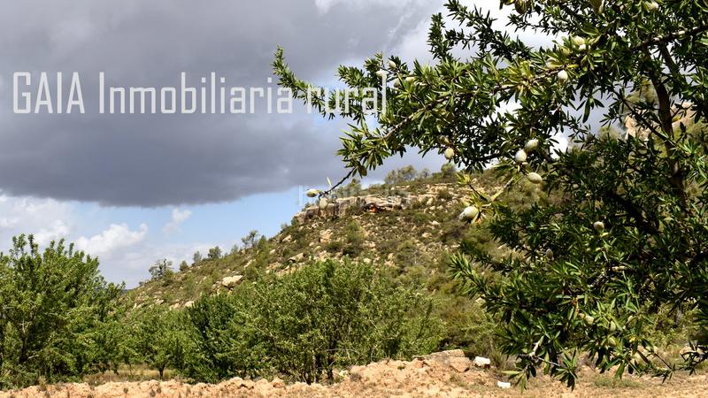 Foto 2599b678-c380-4687-8c85-801dccb99601. Masia a Batea