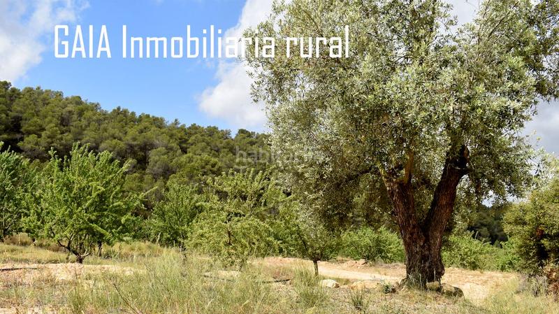 Foto 25ac0ee1-5448-4571-9b1d-a31c8a88a0c7. Masia a Batea