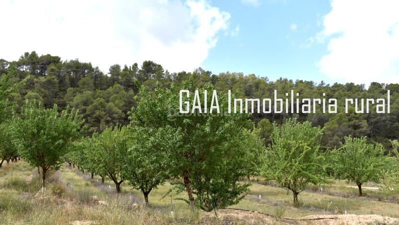 Foto 4ba7db58-d61d-447c-9948-396bc958cc5b. Masia a Batea