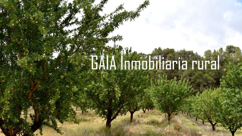 Foto 82eb065b-0218-471a-b1fa-38f813fa7c47. Masia a Batea