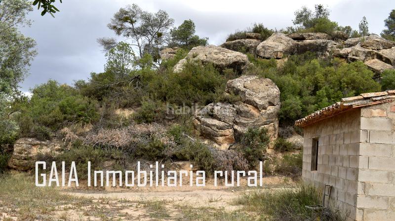 Foto 9288ebc5-5396-4436-b904-4a0409a0b65a. Masia a Batea