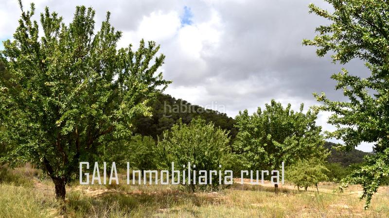 Foto 966225de-3015-4f4a-a2e2-8a864ae341f9. Masia a Batea