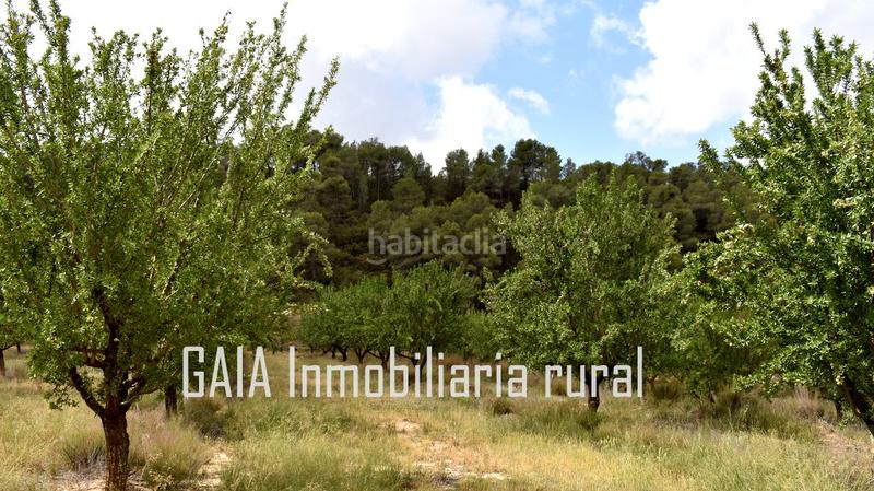 Foto 9a1abf04-33e2-4792-8f8d-64e8ab63bf9f. Masia a Batea