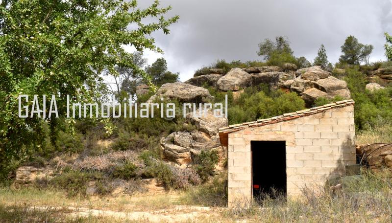 Foto a597fc96-e8e6-4c7a-9469-1c5862330433. Masia a Batea