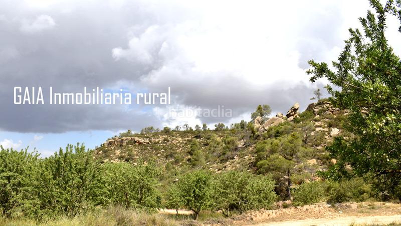 Foto cd47ff0c-1168-4afe-a3b1-1fb503a8e1c7. Masia a Batea