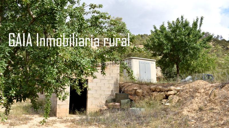 Foto d3686bff-e5ef-4421-ba01-98a45cacb207. Masia a Batea