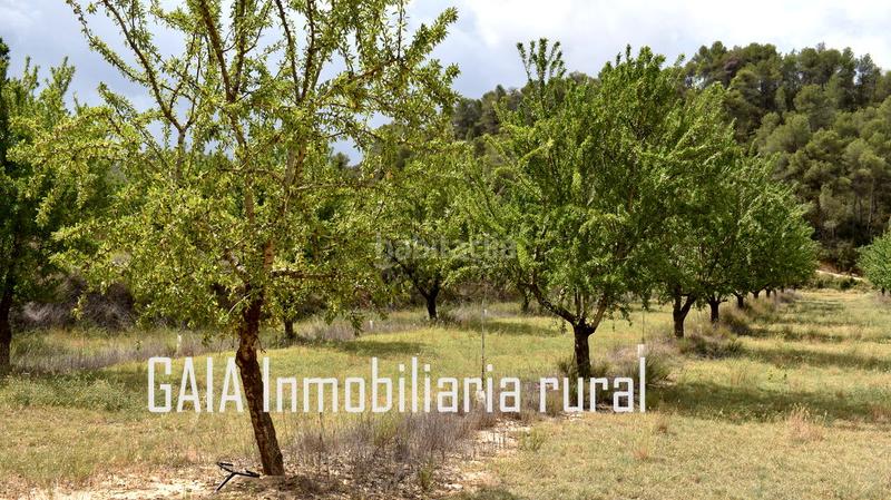 Foto f85aaec3-aefe-4a8c-8e36-76a65be0b984. Masia a Batea