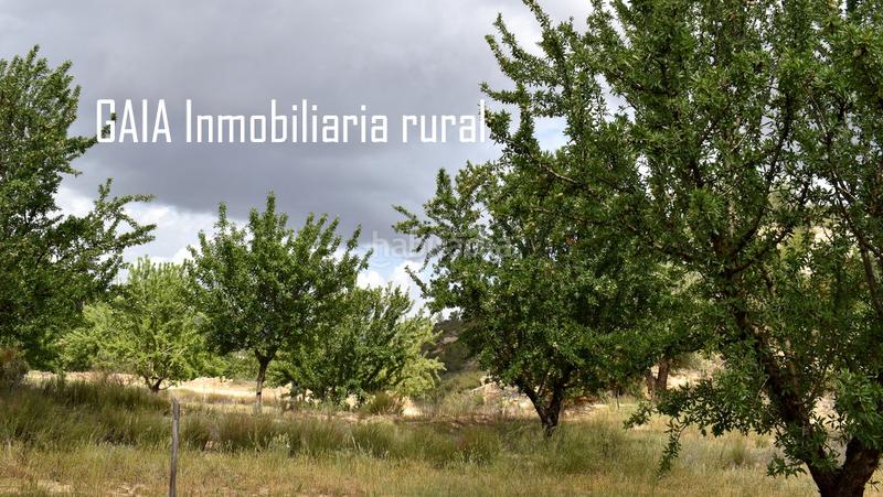 Foto fe99558d-66e8-4688-929f-8d88e31c1069. Masia a Batea