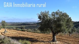 Finca rústica a Maella