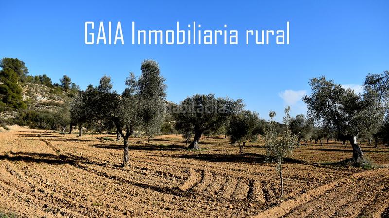 Foto facda56c-a8ef-4aed-bca3-1b62dffff020. Finca rústica a Maella