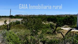 Terreno residenziale in Maella