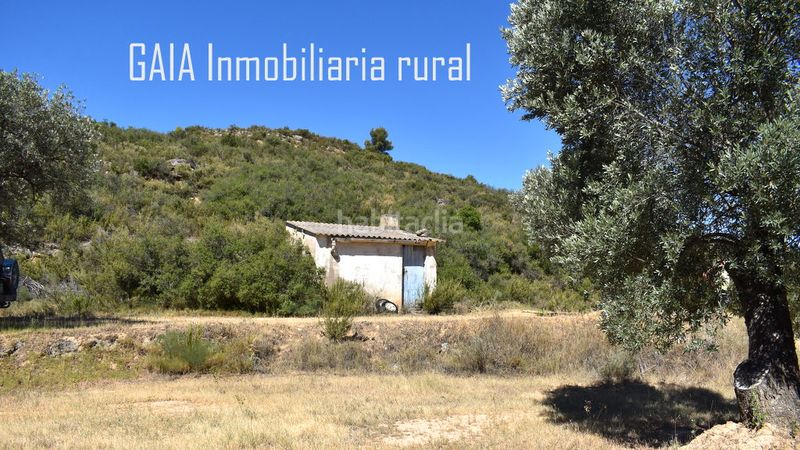 Foto 01af516e-e4bc-4895-a4be-42f2cf333162. Country house in Maella
