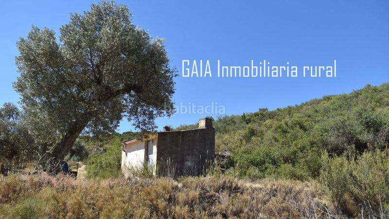 Foto 2271e460-b014-4b57-9dbd-51167dacba55. Country house in Maella
