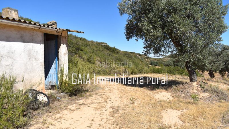 Foto 409fe671-de27-4872-b947-ebdddbb7080a. Country house in Maella