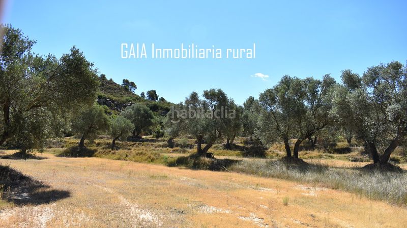 Foto 53b3381d-eb98-40d0-b778-ecf329397e09. Country house in Maella