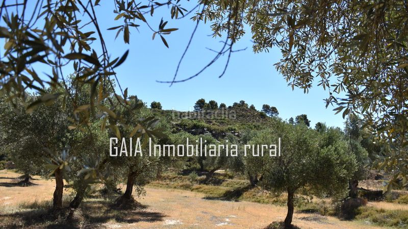 Foto 85a8e341-3858-4059-941a-86f7ffa2a556. Country house in Maella