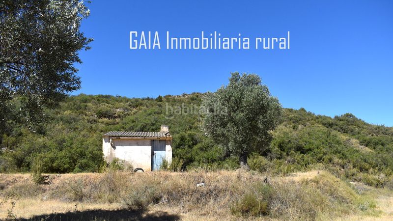 Foto fa05e4cf-9436-46d3-9d17-23bef5f170a0. Country house in Maella