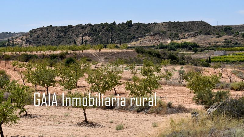 Foto 77121bdd-70a2-48a5-ab96-41500ea818f8. Casale in Caspe