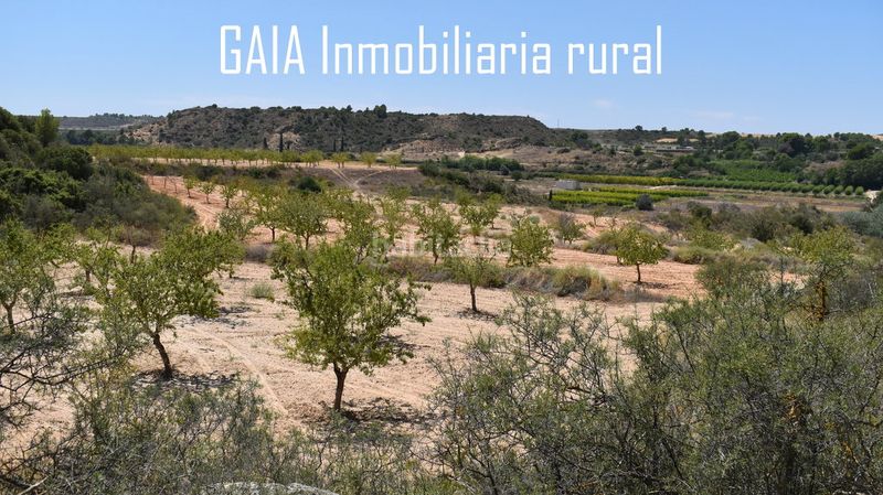 Foto 976d18d8-cafb-4264-b716-ed8144613d59. Casale in Caspe