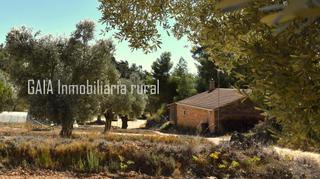 Country house in Maella