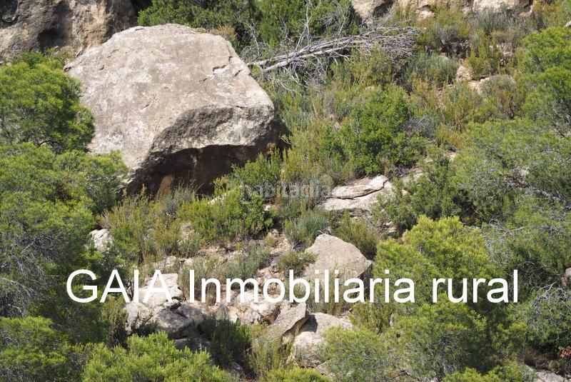 Foto d0e71a89-61c7-4ffc-badf-b0b95b6b604b. Masia a Maella