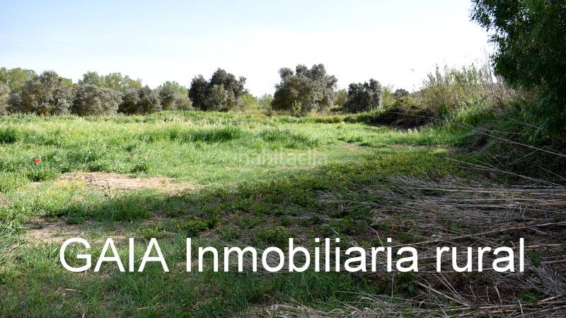 Foto 19cde6c0-7143-49f3-91b8-d8833ac22741. Finca rústica a Maella