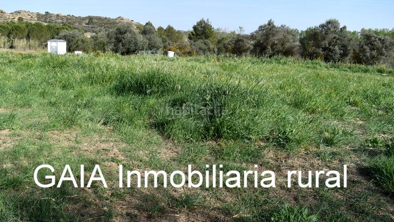 Foto 30fbdab9-8699-4b81-a873-50638372001e. Finca rústica a Maella
