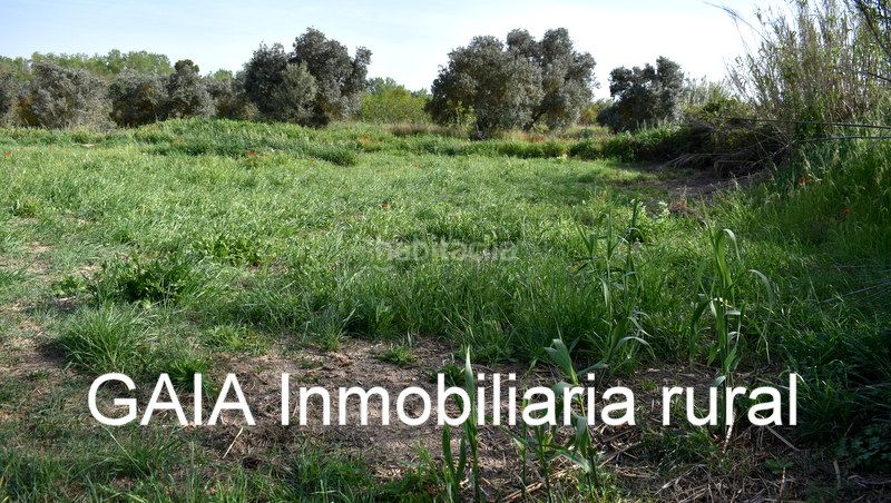 Foto 42e467a2-b986-4579-b8b5-ac08f6dda56f. Finca rústica a Maella