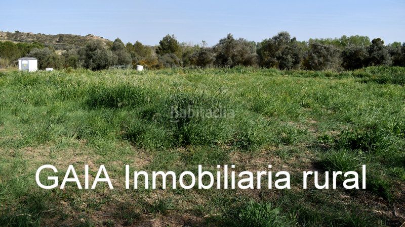 Foto db344a67-5aa9-4bde-9037-28ec69ce06b5. Finca rústica a Maella