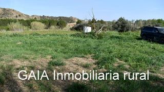 Finca rústica a Maella