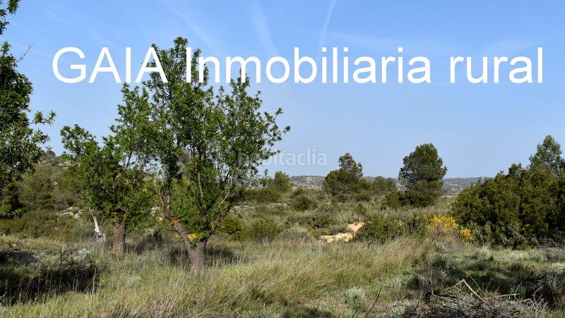 Foto 57365e57-1429-4211-98ae-f7df6f10bab3. Finca rústica a Maella