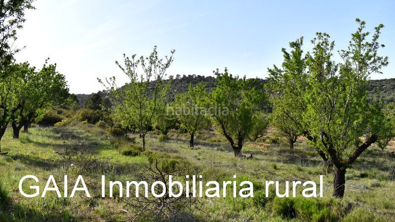 Foto 62a14a8c-3bdc-41ae-a885-7a057c652bca. Finca rústica a Maella